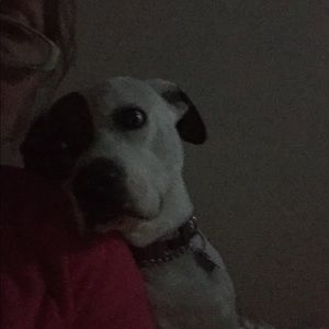 Meet your Posher, Cheri